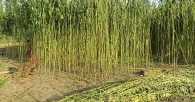Incentives for agro- and jute-processing units in EPZs   