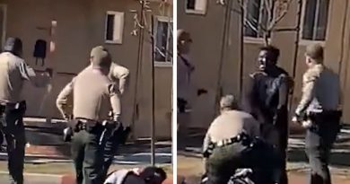 L.A. Cops Tase Man Trying to Help at Car Accident Scene