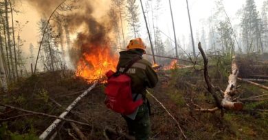 New report finds vast Siberian wildfires linked to Arctic warming
